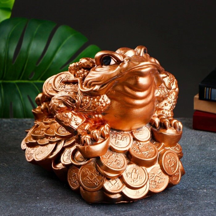 Фигура "Лягушка на монетах" большая 24х36х25см от компании Интернет-гипермаркет «MOLL» - фото 1