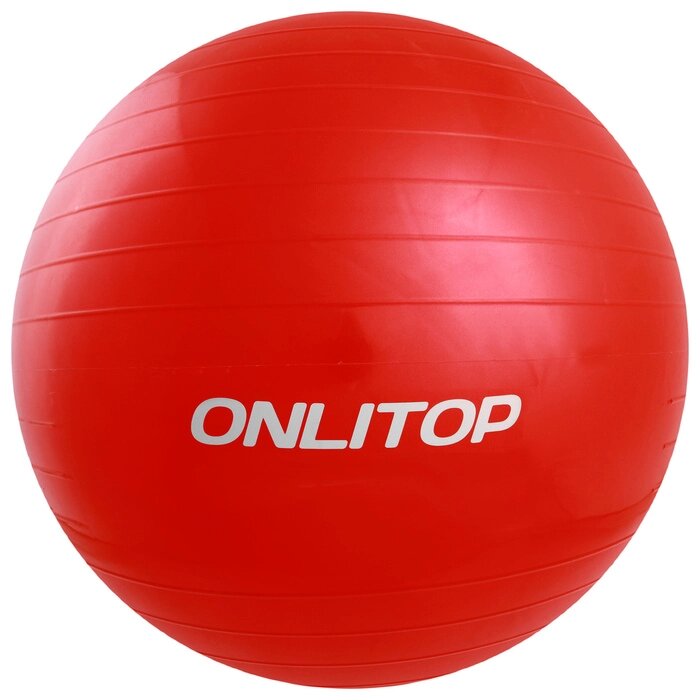Фитбол, ONLITOP, d=65 см, 800 г, цвета МИКС от компании Интернет-гипермаркет «MOLL» - фото 1