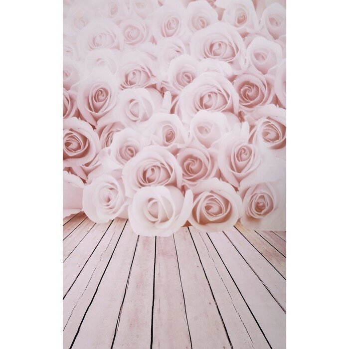 Фотофон винил "Розы" стена+пол 80х125 см от компании Интернет-гипермаркет «MOLL» - фото 1