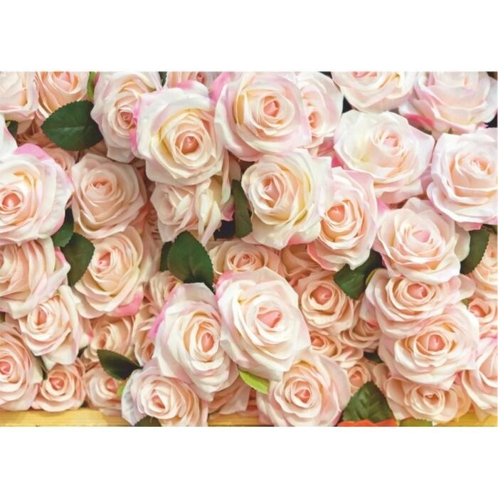 Фотообои B-013 Bellissimo "Роскошные розы", 8 листов 2800х2000мм от компании Интернет-гипермаркет «MOLL» - фото 1