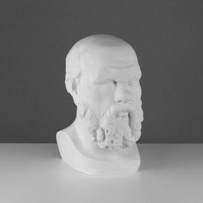 Гипсовая фигура, голова Сократа "Мастерская Экорше", 20 х 20 х 38,5 см от компании Интернет-гипермаркет «MOLL» - фото 1