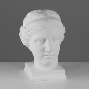 Гипсовая фигура, голова Венеры Милосской "Мастерская Экорше", 22 х 32 х 35 см