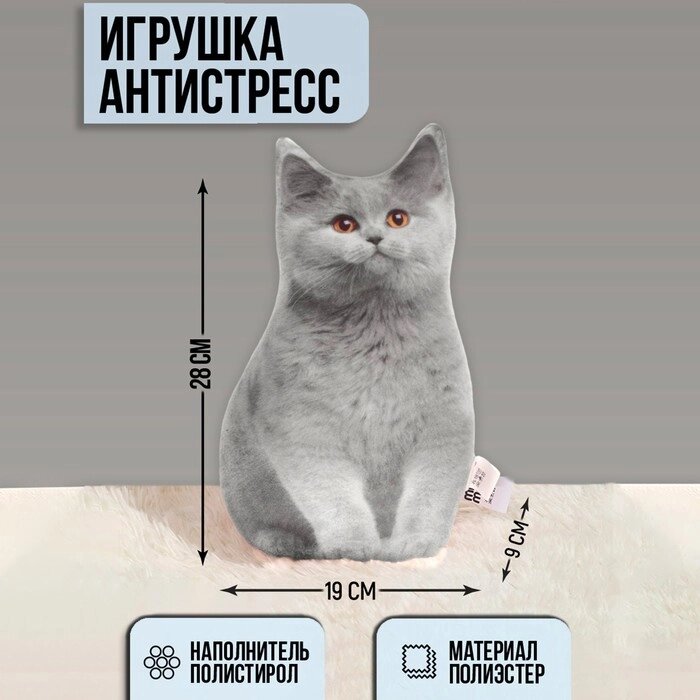 Игрушка-антистресс "Серый кот" от компании Интернет-гипермаркет «MOLL» - фото 1