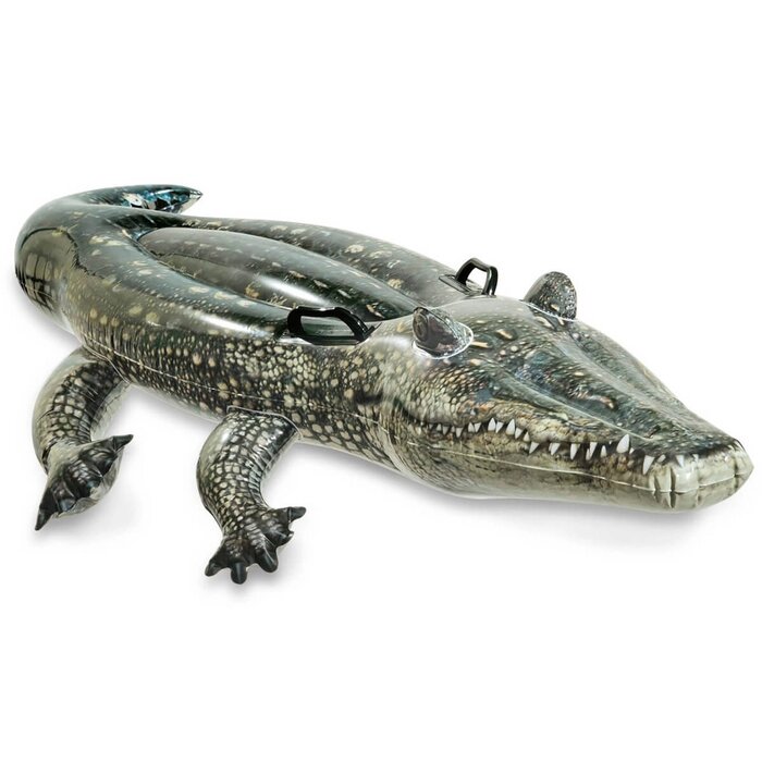 Игрушка для плавания "Аллигатор", 170 х 86 см, от 3 лет, 57551NP INTEX от компании Интернет-гипермаркет «MOLL» - фото 1