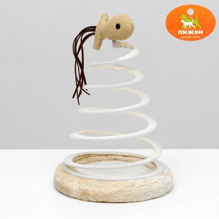 Игрушка-дразнилка для кошек "Шар на спирали" от компании Интернет-гипермаркет «MOLL» - фото 1