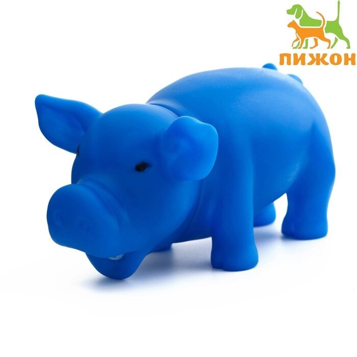 Игрушка хрюкающая "Веселая свинья" для собак, 15 см, синяя от компании Интернет-гипермаркет «MOLL» - фото 1