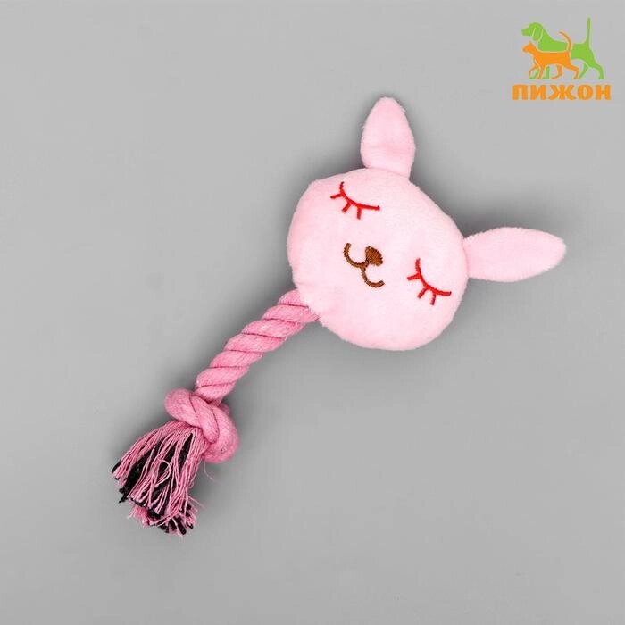Игрушка мягкая для собак "Зайка с канатом", с пищалкой, 18 см, розовый от компании Интернет-гипермаркет «MOLL» - фото 1