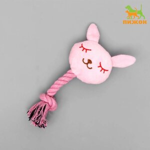 Игрушка мягкая для собак "Зайка с канатом", с пищалкой, 18 см, розовый