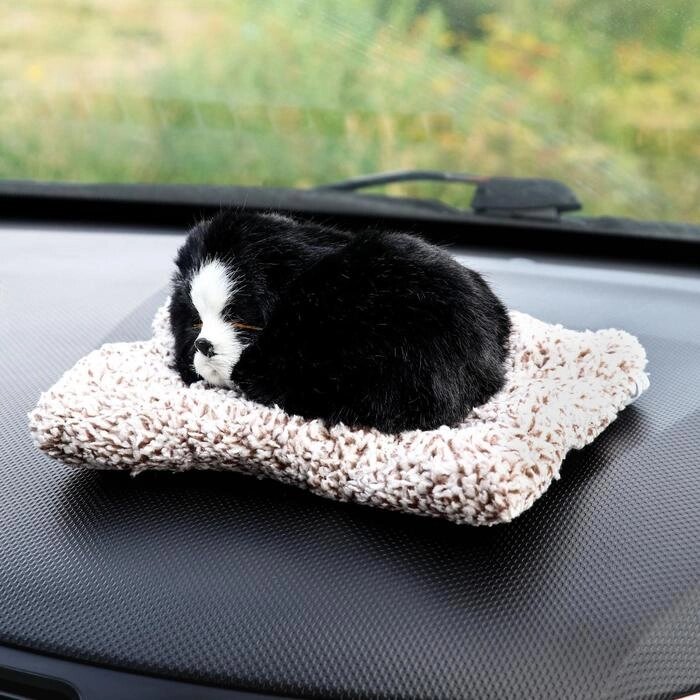 Игрушка на панель авто, собака на подушке, черный окрас от компании Интернет-гипермаркет «MOLL» - фото 1
