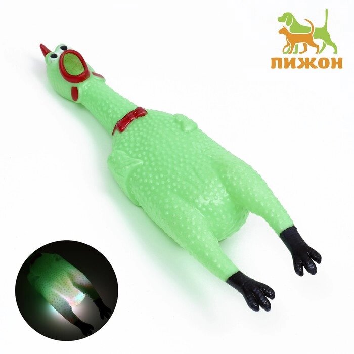 Игрушка пищащая "Курица светящаяся" для собак, 28 см, зелёная от компании Интернет-гипермаркет «MOLL» - фото 1