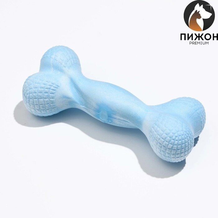 Игрушка плавающая для собак "Мощная кость" Пижон Premium, вспененный TPR, 15,5 см, голубая от компании Интернет-гипермаркет «MOLL» - фото 1