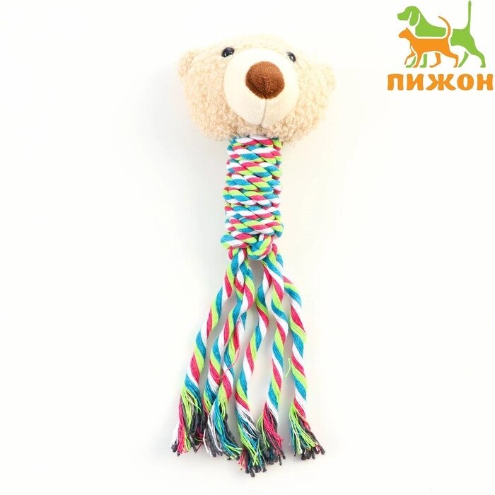 Игрушка с погремушкой мягкая для собак "Медведь" белый, 24 см от компании Интернет-гипермаркет «MOLL» - фото 1