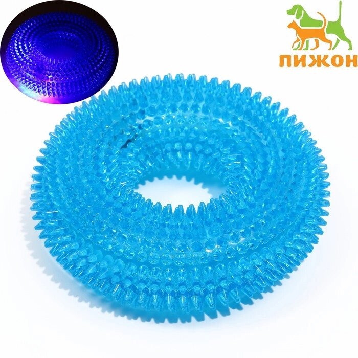 Игрушка светящаяся для собак "Жевательное кольцо", TPR,  12 см, голубая от компании Интернет-гипермаркет «MOLL» - фото 1