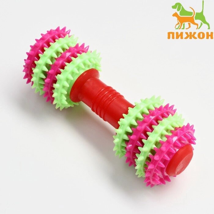 Игрушка жевательная 15,5 х 5,5 см, красная/розовая/зелёная от компании Интернет-гипермаркет «MOLL» - фото 1