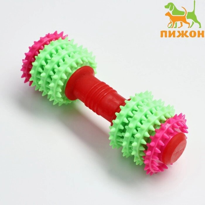 Игрушка жевательная 15,5 х 5,5 см, красная/зелёная/розовая от компании Интернет-гипермаркет «MOLL» - фото 1