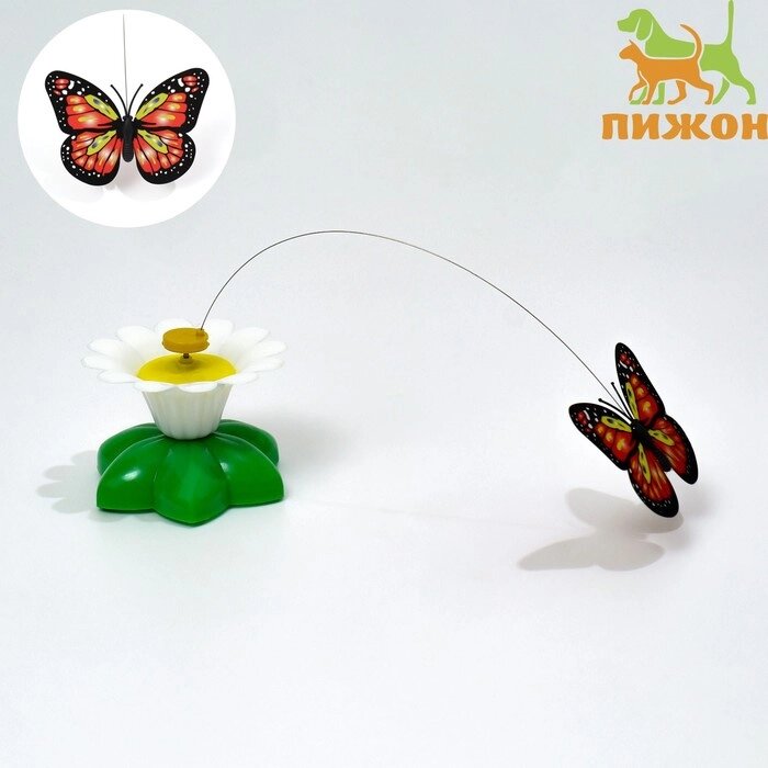 Интерактивная игрушка-дразнилка для кошек "Бабочка" от компании Интернет-гипермаркет «MOLL» - фото 1
