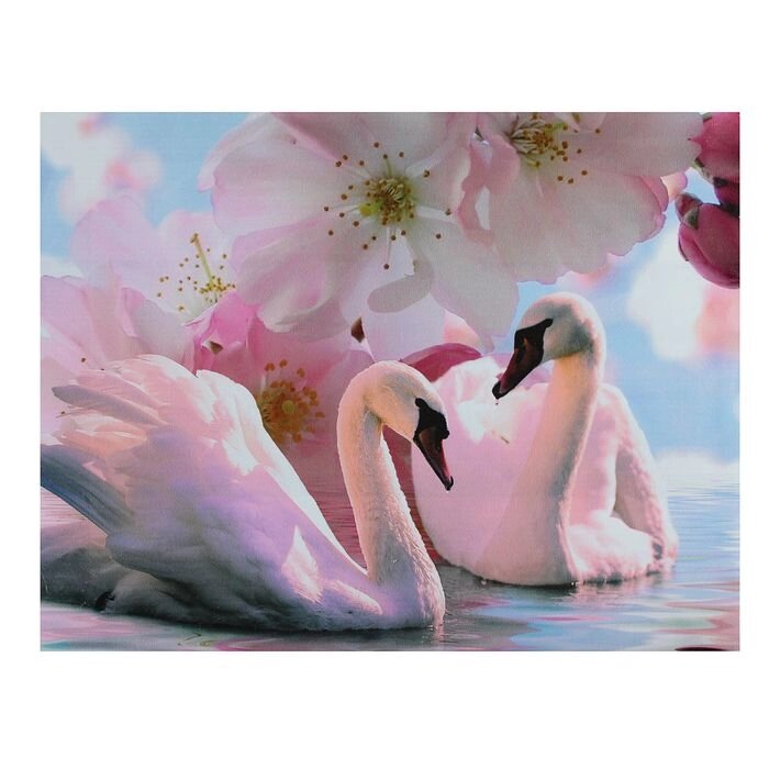 Картина на холсте "Лебеди под цветами" 30х40 см от компании Интернет-гипермаркет «MOLL» - фото 1