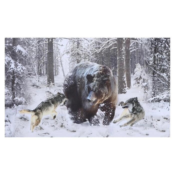 Картина на холсте "Схватка зверей" 60х100 см от компании Интернет-гипермаркет «MOLL» - фото 1