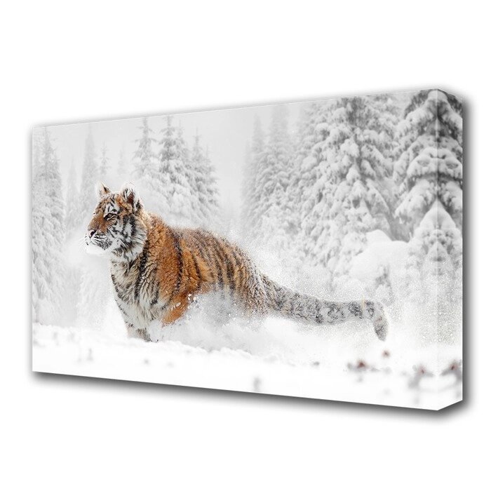 Картина на холсте "Тигр в снегу" 60*100 см от компании Интернет-гипермаркет «MOLL» - фото 1