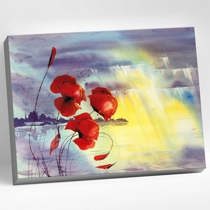 Картина по номерам 40  50 см "Маки у воды" 20 цветов от компании Интернет-гипермаркет «MOLL» - фото 1