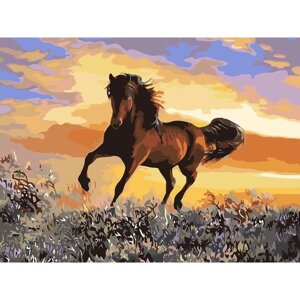 Картина по номерам на холсте "Грациозный бег коня", 40х30 см