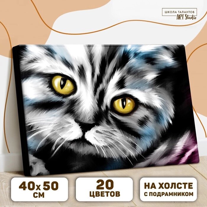 Картина по номерам на холсте с подрамником "Котик" 40х50 см от компании Интернет-гипермаркет «MOLL» - фото 1