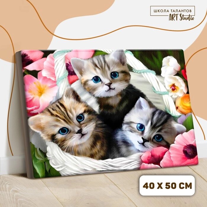 Картина по номерам на холсте с подрамником "Котята" 40х50 см от компании Интернет-гипермаркет «MOLL» - фото 1