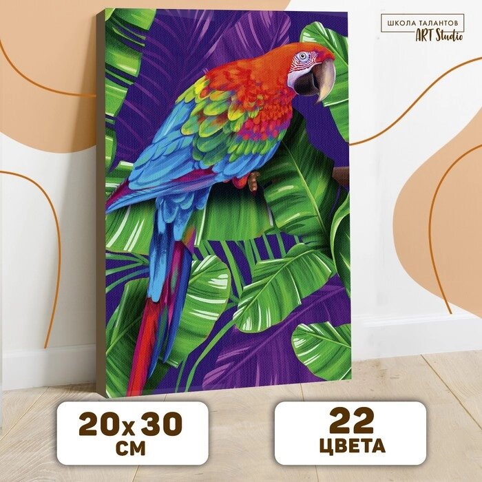 Картина по номерам на холсте с подрамником "Попугай" 20х30 см от компании Интернет-гипермаркет «MOLL» - фото 1