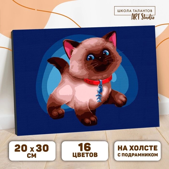 Картина по номерам на холсте с подрамником "Сиамский котёнок" 20х30 см от компании Интернет-гипермаркет «MOLL» - фото 1