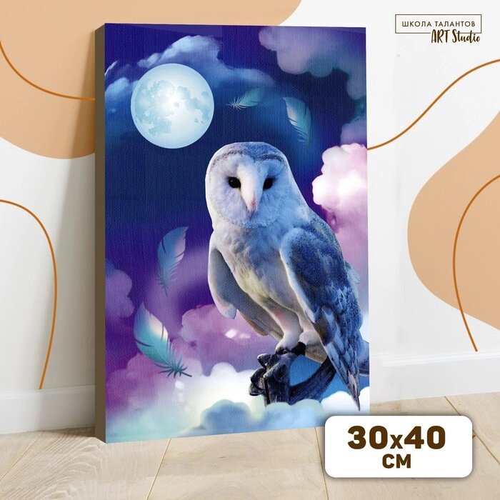 Картина по номерам на холсте с подрамником "Сказочная сова" 30*40 см от компании Интернет-гипермаркет «MOLL» - фото 1