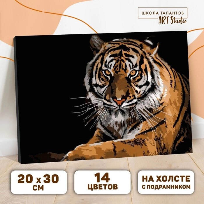 Картина по номерам на холсте с подрамником "Тигр", 30х20 см от компании Интернет-гипермаркет «MOLL» - фото 1