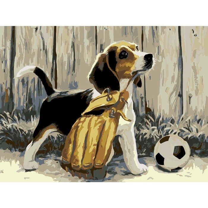 Картина по номерам на холсте "Щенок с мячом", 40*30 см от компании Интернет-гипермаркет «MOLL» - фото 1