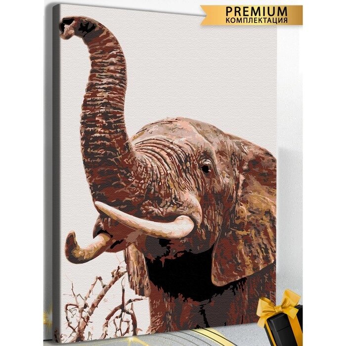 Картина по номерам "Слон" холст на подрамнике 40*60 215 от компании Интернет-гипермаркет «MOLL» - фото 1