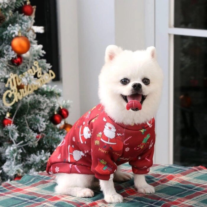 Кофта новогодняя  для животных "Подарки", размер L, красный (ДС 35, ОГ 45 см) от компании Интернет-гипермаркет «MOLL» - фото 1
