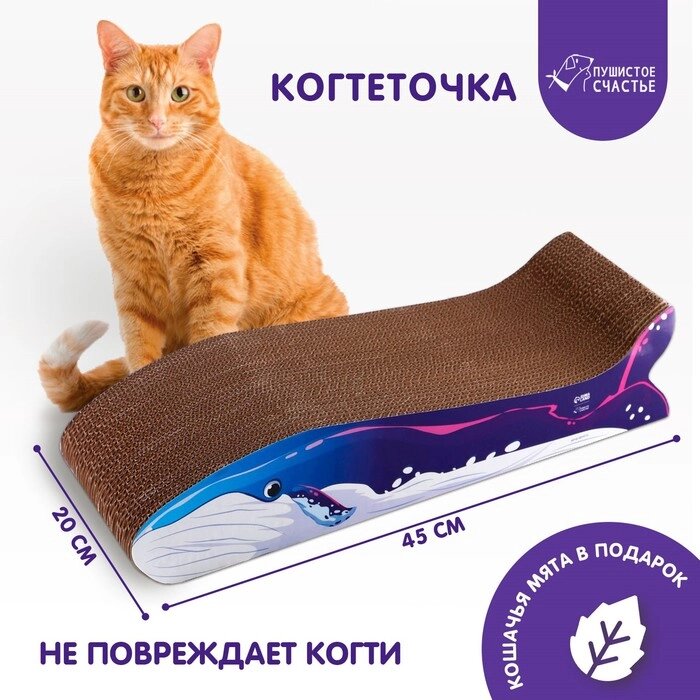 Когтеточка из картона с кошачьей мятой "Кит" от компании Интернет-гипермаркет «MOLL» - фото 1