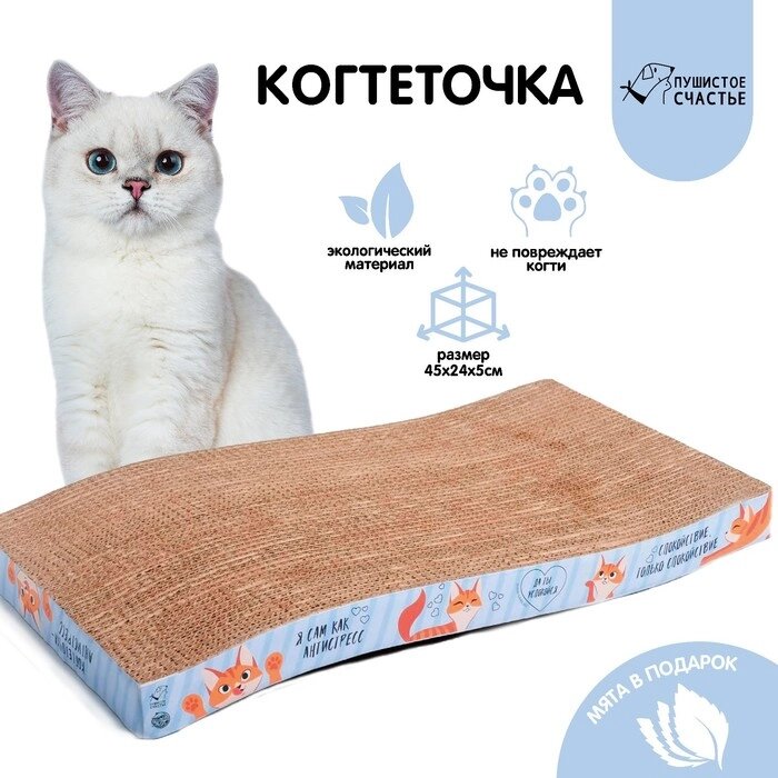 Когтеточка из картона с кошачьей мятой "Когтеточка-антистресс", волна от компании Интернет-гипермаркет «MOLL» - фото 1
