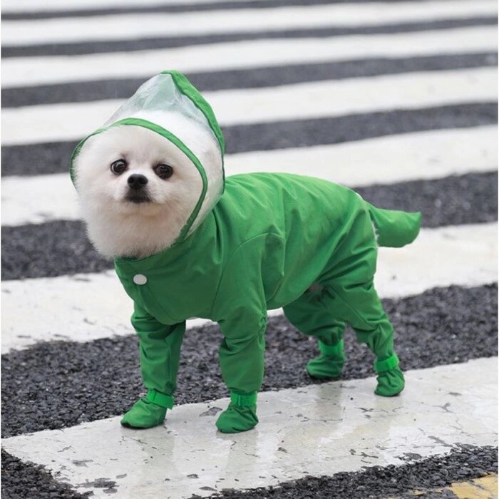 Комбинезон для собак, демисезонный с чехлами на лапы,  размер L (ДС 45, Ог 37), зелёный от компании Интернет-гипермаркет «MOLL» - фото 1