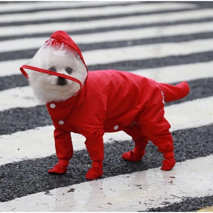 Комбинезон для собак, демисезонный с чехлами на лапы, размер S (ДС 35, Ог 27, ), красный от компании Интернет-гипермаркет «MOLL» - фото 1