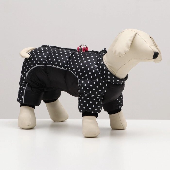 Комбинезон для собак "Горошек", размер 10 (ДС 25, ОГ 34, ОШ 24 см), чёрный от компании Интернет-гипермаркет «MOLL» - фото 1