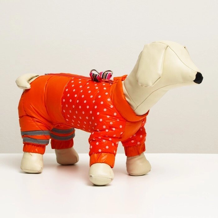 Комбинезон для собак  "Горошек", размер 10 (ДС 25 см, ОГ 34 см, ОШ 24 см), красно-рыжая от компании Интернет-гипермаркет «MOLL» - фото 1