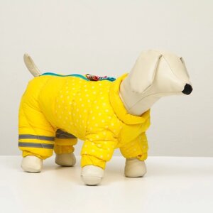 Комбинезон для собак "Горошек", размер 12 (ДС 28 см, ОГ 38 см, ОШ 27 см), жёлто-голубая
