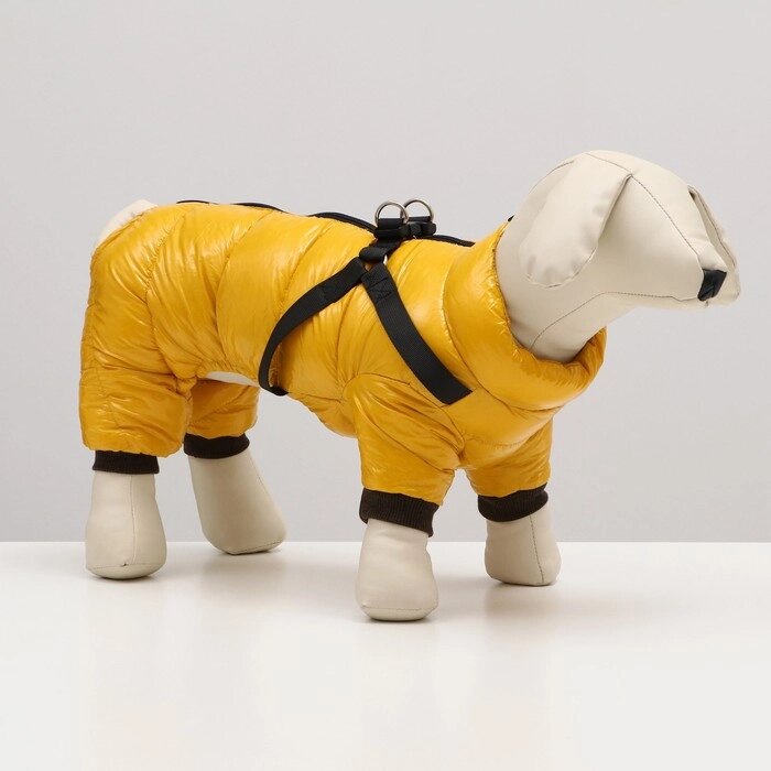 Комбинезон для собак  со шлейкой "Моден",  размер 10 (ДС 25, ОГ 34, ОШ 24 см), жёлтый от компании Интернет-гипермаркет «MOLL» - фото 1