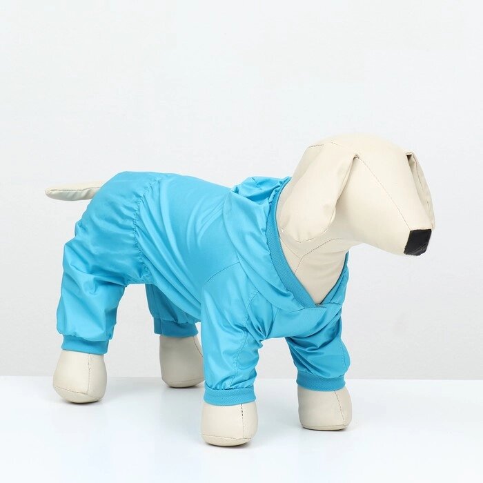 Комбинезон для животных, без подклада, размер S, голубой от компании Интернет-гипермаркет «MOLL» - фото 1