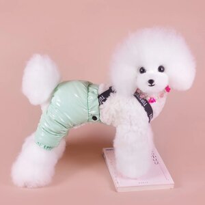 Комбинезон-штаны для собак, размер L (ДС 34, ОТ 47 см), мятный