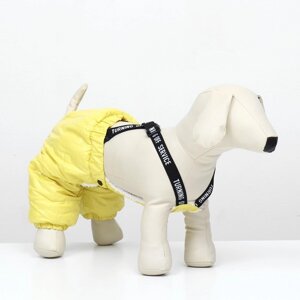 Комбинезон-штаны для собак, размер L (ДС 34, ОТ 47 см), жёлтый