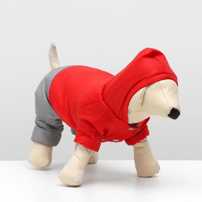 Комбинезон зимний для собак с капюшоном, 2XL (ДС 34-36 см, ОШ 34-36 см, ОГ 44-48 см) от компании Интернет-гипермаркет «MOLL» - фото 1