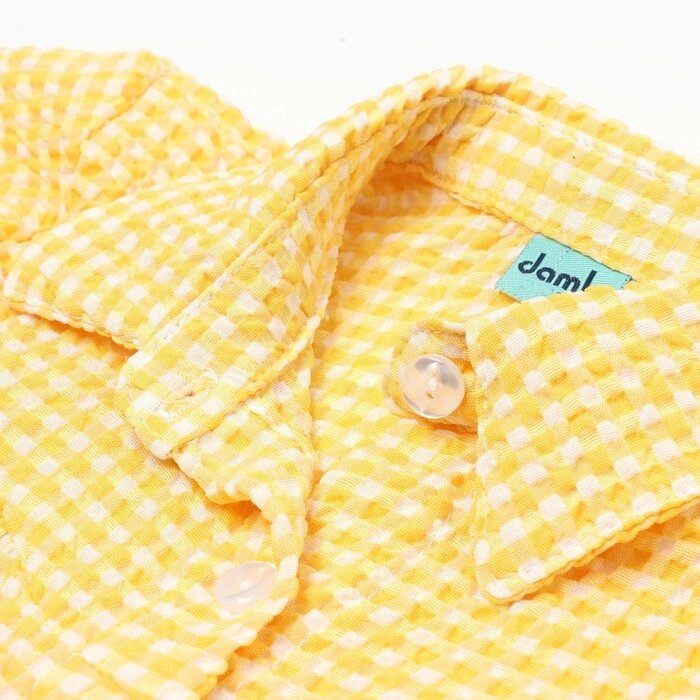Комплект для девочки (футболка/шорты), цвет жёлтый, рост 116см от компании Интернет-гипермаркет «MOLL» - фото 1