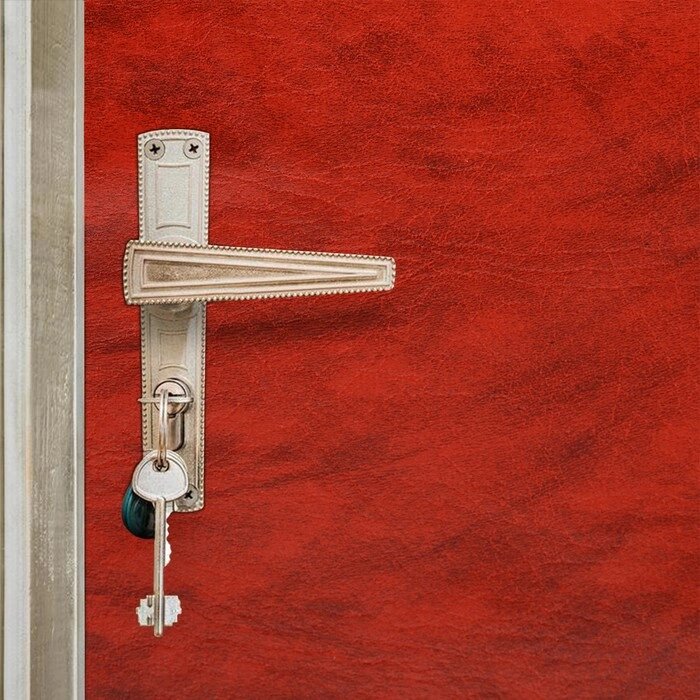 Комплект для обивки дверей 110  205 см: иск. кожа, поролон 5 мм, гвозди, струна, рыжий, "Рулон" от компании Интернет-гипермаркет «MOLL» - фото 1