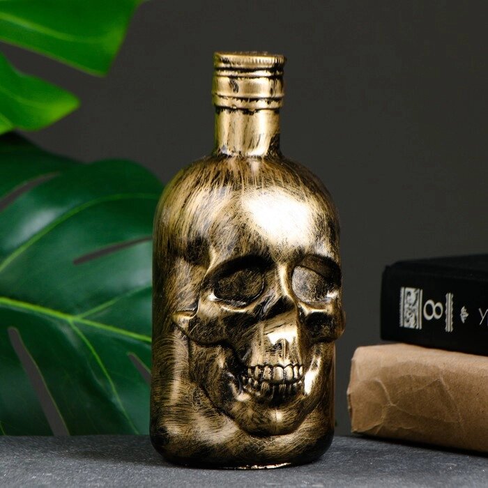 Копилка "Бутылка череп античная" от компании Интернет-гипермаркет «MOLL» - фото 1