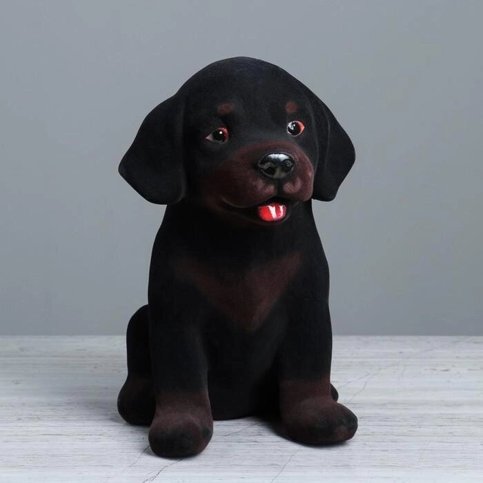 Копилка "Собака Ротвейлер", флок, чёрный цвет, 27 см от компании Интернет-гипермаркет «MOLL» - фото 1